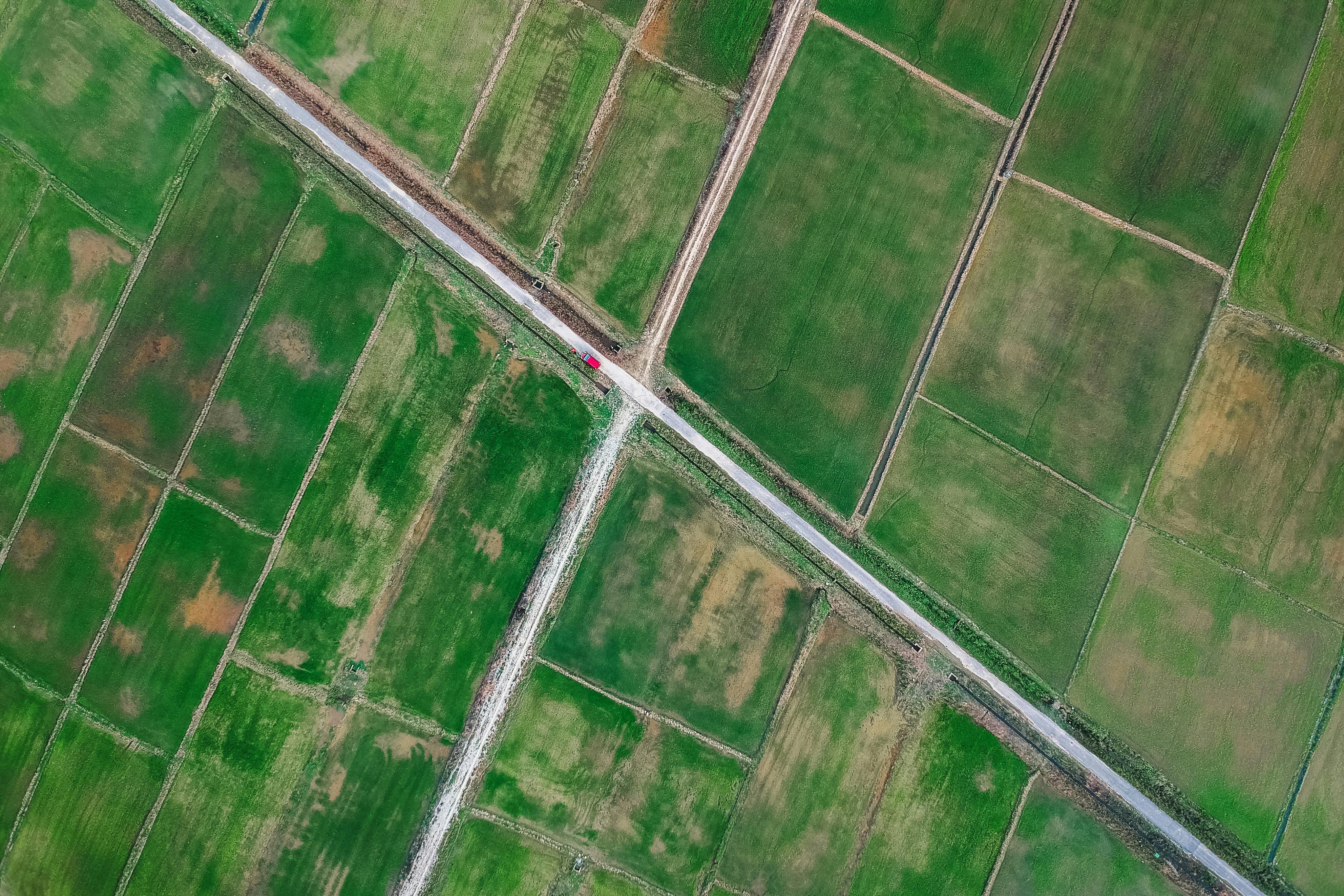 Plots Land