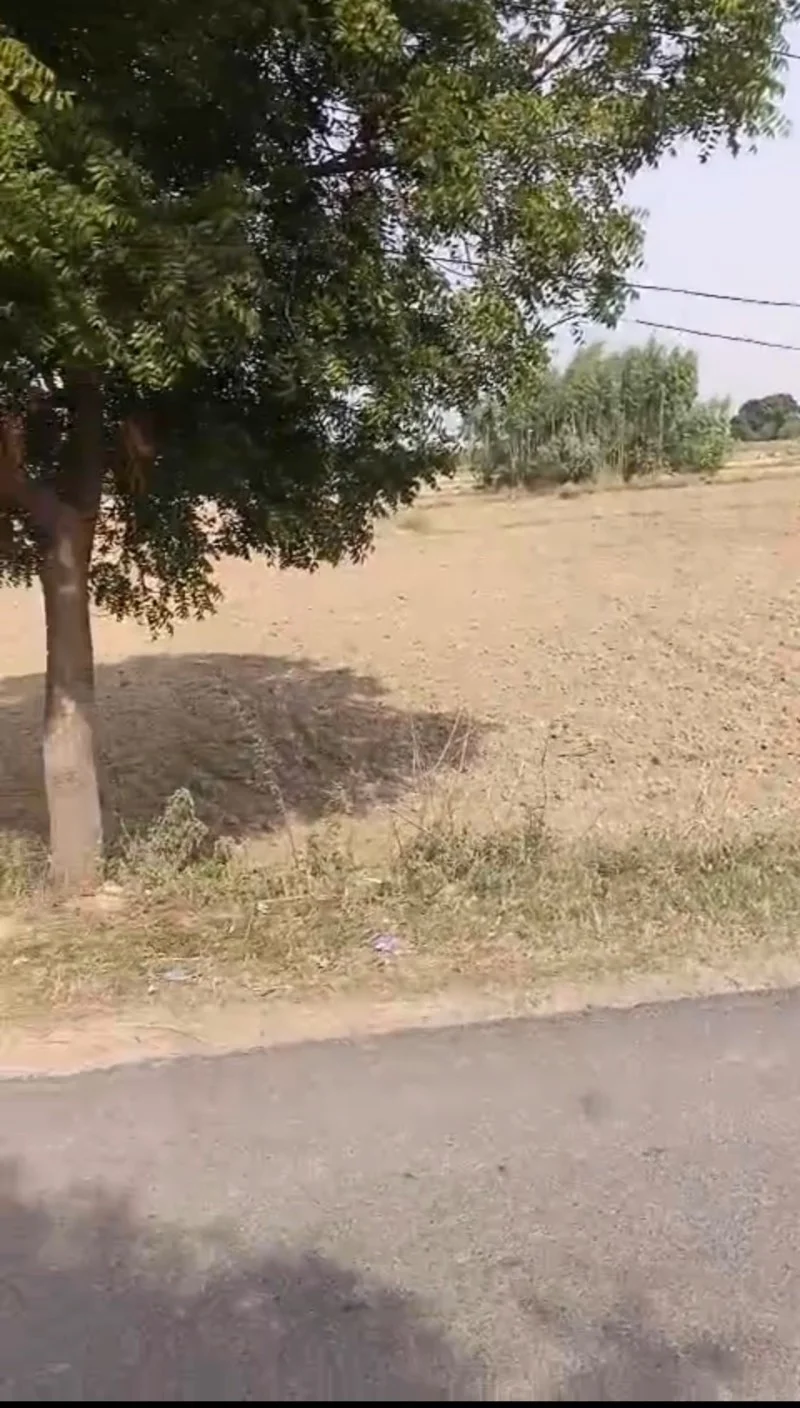 Agricultural/farm for Sell in Latif Nagar Lucknow - Photo 1