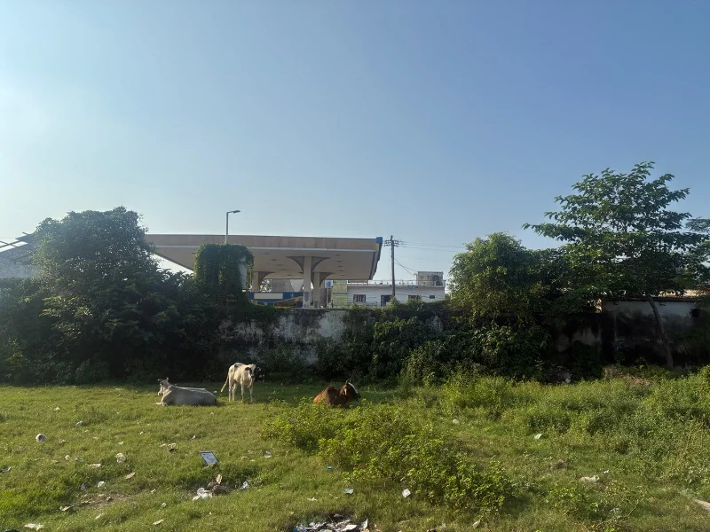 Residential for Sell in Gudmba,kursi Road,lucknow Near Sports College Lucknow - Photo 4
