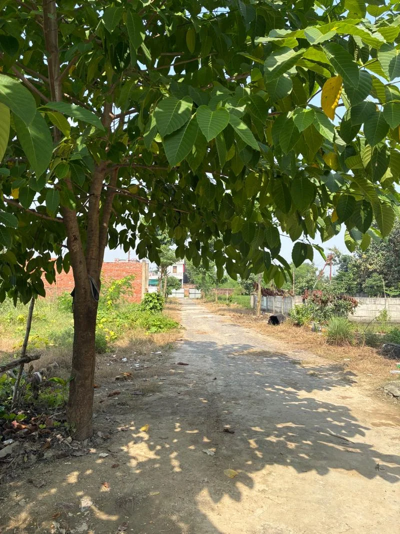 Residential for Sell in Behta Lucknow - Photo 3