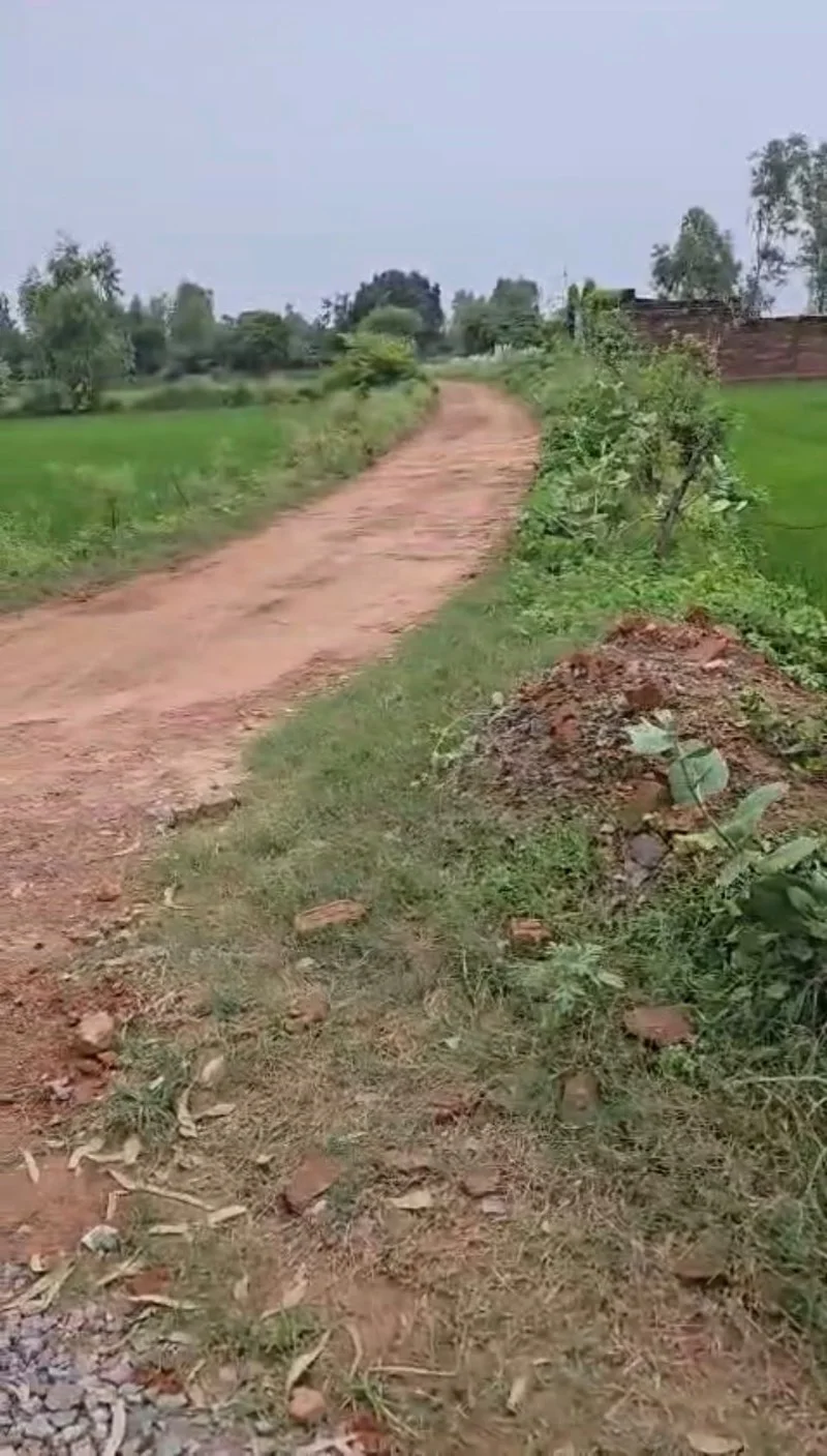 Agricultural/farm for Sell in Amethi Lucknow - Photo 1