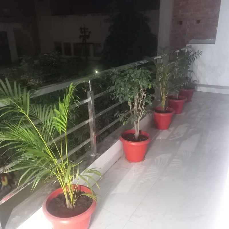 2 BHK Independent House for Rent in Gomti Nagar Lucknow - Photo 2