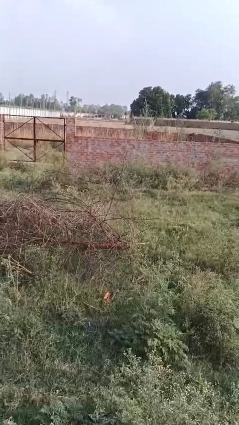 Agricultural/farm for Sell in Lucknow Lucknow - Photo 1