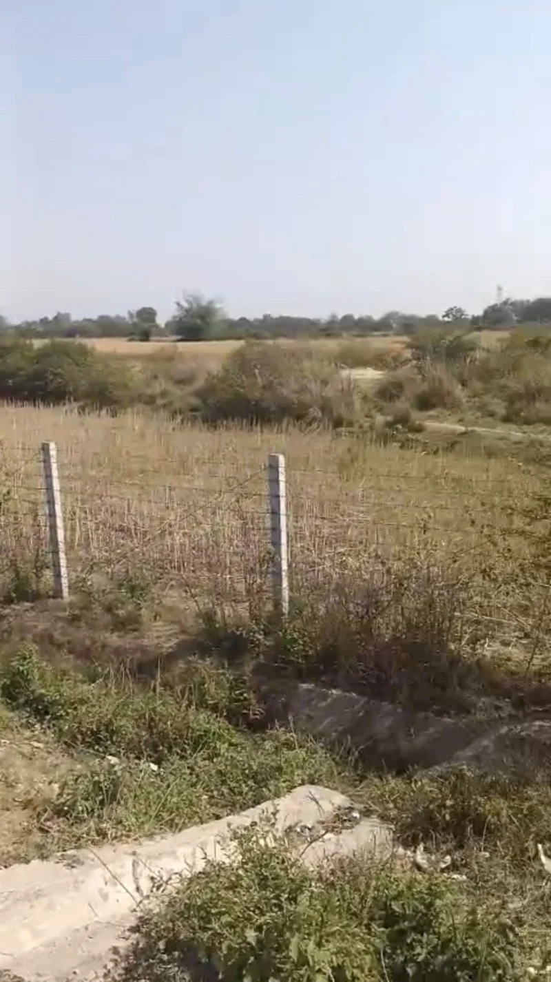 Agricultural/farm for Sell in Lucknow Lucknow - Photo 1