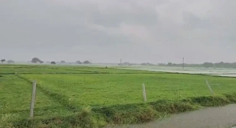 Agricultural/farm for Sell in Unnao Lucknow - Photo 1