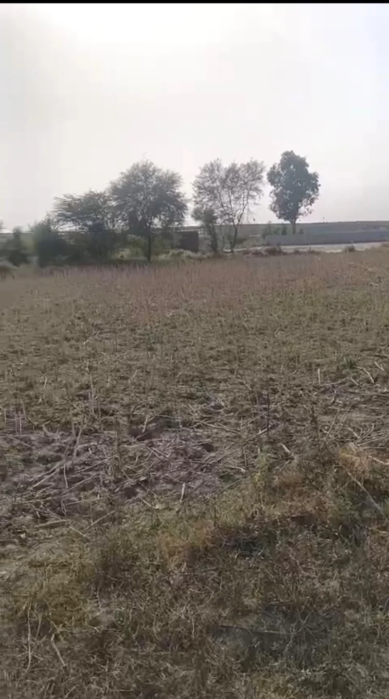 Agricultural/farm for Sell in Bakshi Ka Talab Lucknow - Photo 1