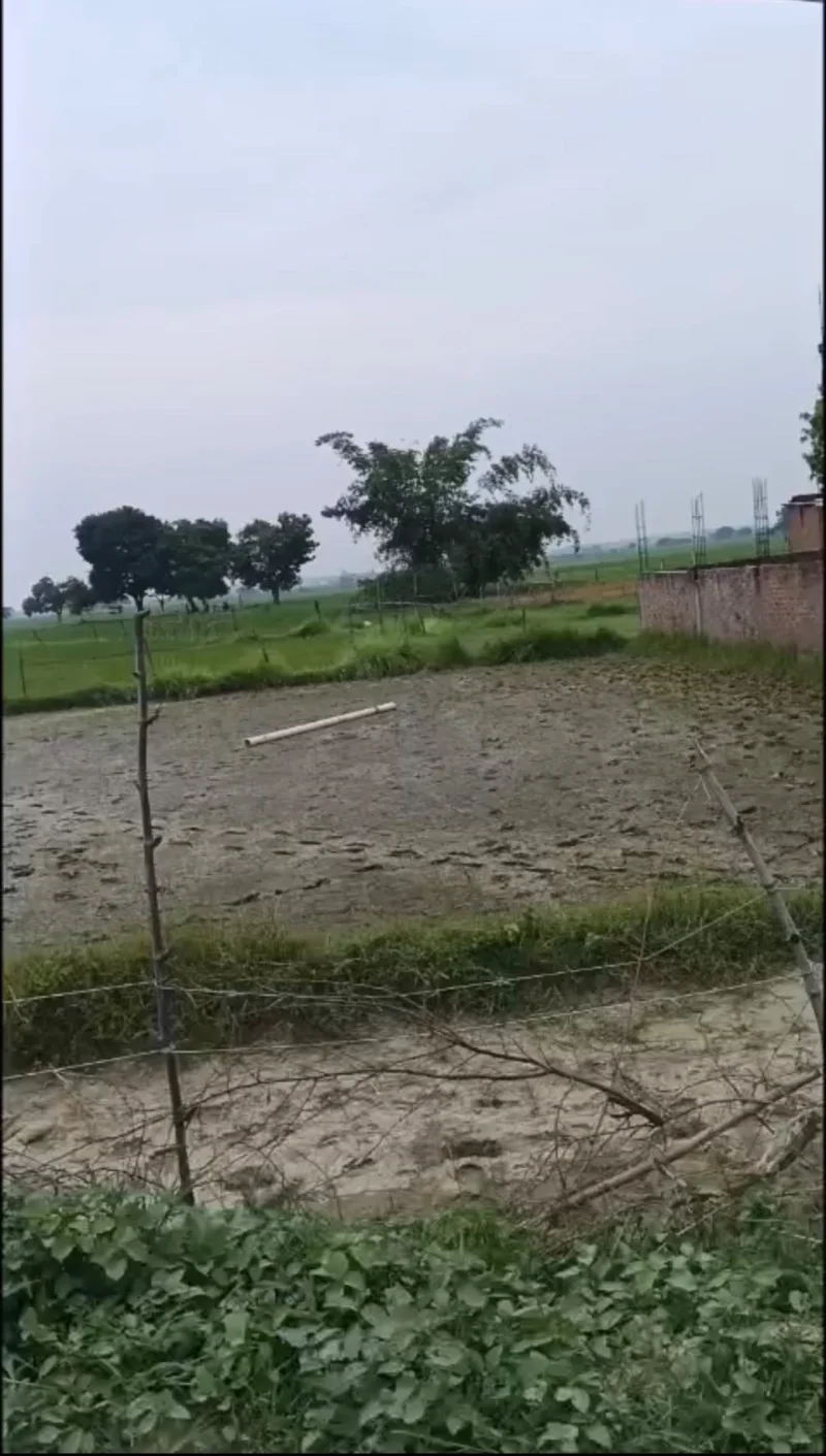 Agricultural/farm for Sell in Unnao Lucknow - Photo 1