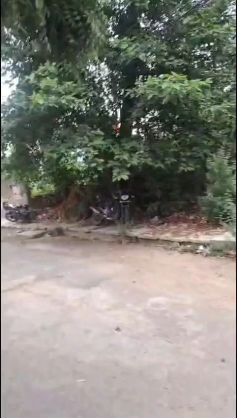 Commercial for Sell in Gomti Nagar Lucknow - Photo 1